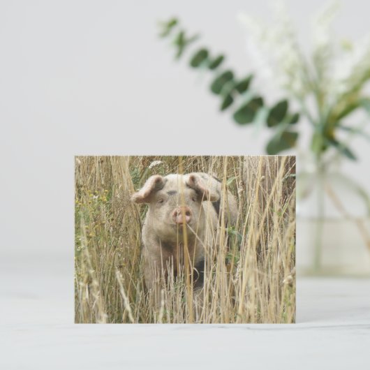 Cute Spotty Pig Briefkaart (Staand voorkant)