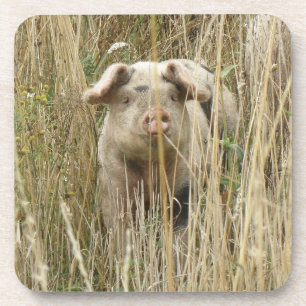 Cute Spotty Pig Cork Onderzetter