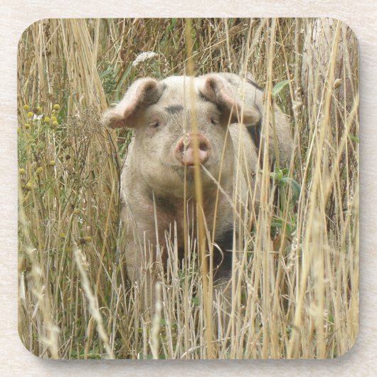 Cute Spotty Pig Cork Onderzetter (Voorkant)