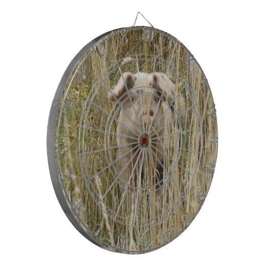 Cute Spotty Pig Dart Board Dartbord (Voorkant Links)