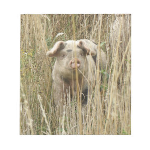 Cute Spotty Pig-laptop Notitieblok