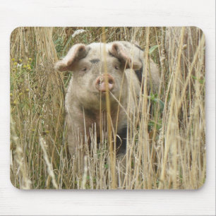 Cute Spotty Pig Mousepad Muismat