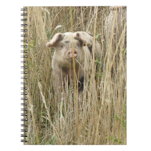 Cute Spotty Pig Notitieboek (Voorkant)