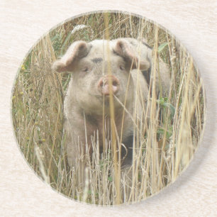 Cute Spotty Pig Onderzetters