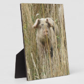 Cute Spotty Pig Plaque Fotoplaat (Zijkant)