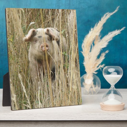 Cute Spotty Pig Plaque Fotoplaat (Zijkant)