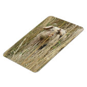 Cute Spotty Pig Premium Magnet Magneet (Linkerzijde)