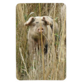 Cute Spotty Pig Premium Magnet Magneet (Verticaal)