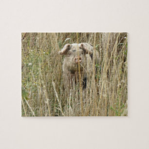Cute Spotty Pig Puzzle Legpuzzel