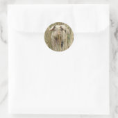 Cute Spotty Pig Sticker (Tas)