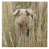 Cute Spotty Pig Tile Tegeltje (Voorkant)