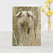Cute Spotty Pig Wenskaart Kaart (Gele Bloem)
