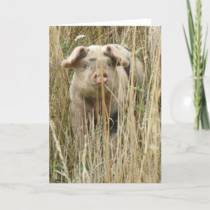 Cute Spotty Pig Wenskaart Kaart