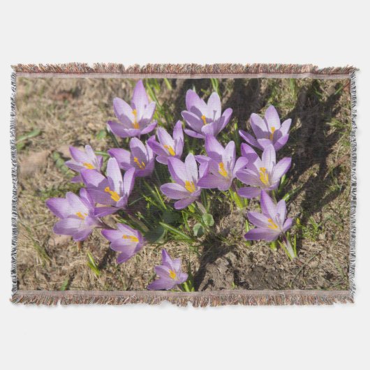 Cute spring crocuses deken (Voorkant)