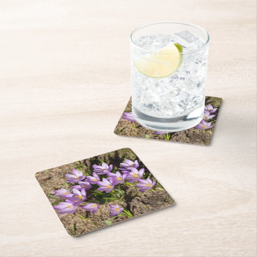 Cute spring crocuses kartonnen onderzetters (Insitu)