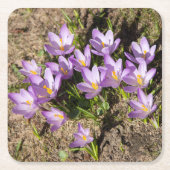 Cute spring crocuses kartonnen onderzetters (Voorkant)