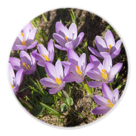 Cute spring crocuses keramische knop (Voorkant)