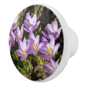 Cute spring crocuses keramische knop (Rechts)