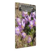 Cute spring crocuses mini klembord (Schuin)