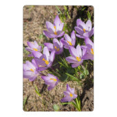 Cute spring crocuses mini klembord (Achterkant)