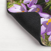 Cute spring crocuses muismat (Hoek)