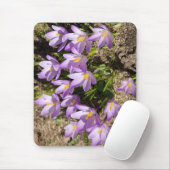 Cute spring crocuses muismat (Met muis)