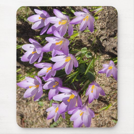 Cute spring crocuses muismat (Voorkant)