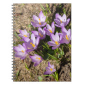 Cute spring crocuses notitieboek (Voorkant)