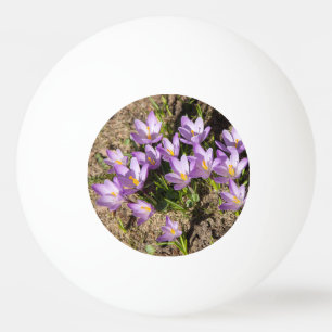 Cute spring crocuses pingpongbal