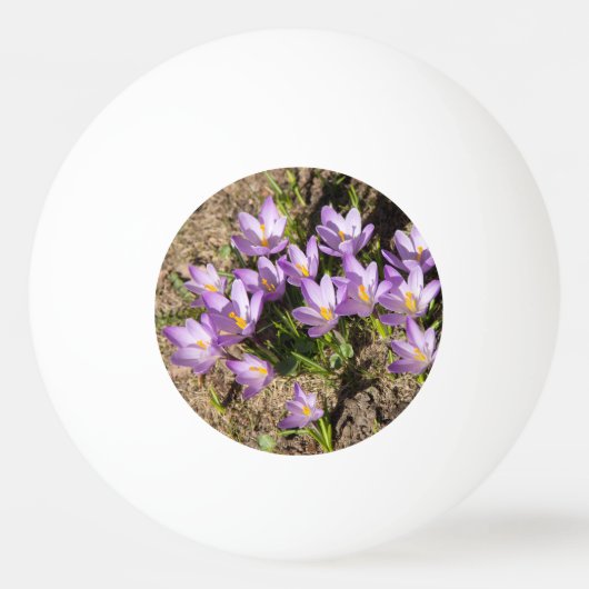 Cute spring crocuses pingpongbal (Voorkant)