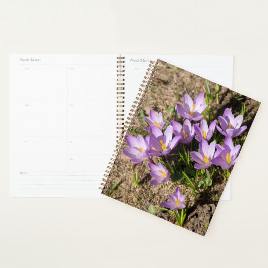 Cute spring crocuses planner (Display)