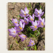 Cute spring crocuses planner (Voorkant)