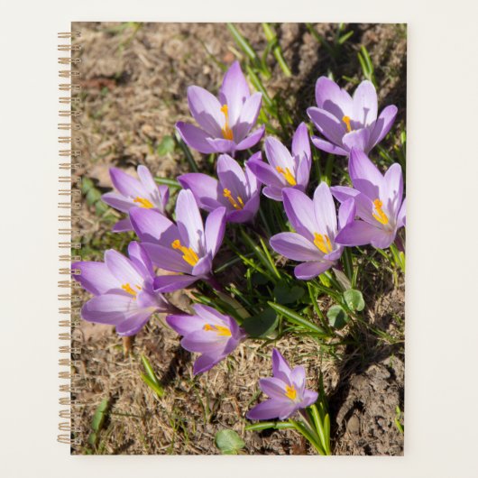 Cute spring crocuses planner (Voorkant)