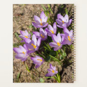 Cute spring crocuses planner (Achterkant)