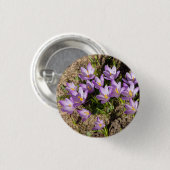 Cute spring crocuses ronde button 3,2 cm (Voorkant /achterkant)