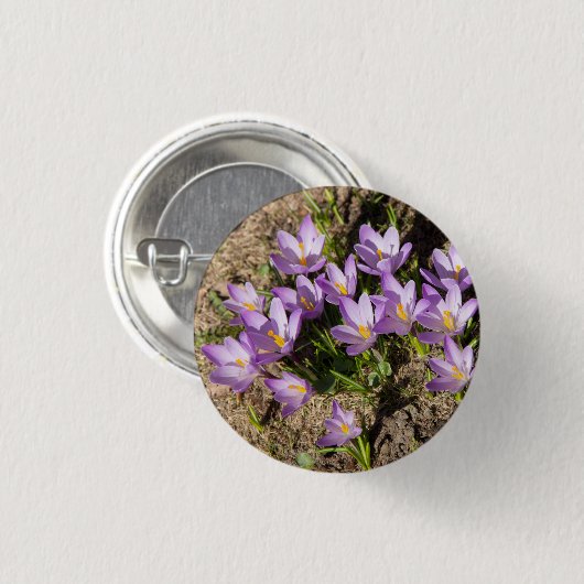 Cute spring crocuses ronde button 3,2 cm (Voorkant /achterkant)