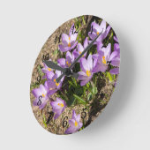Cute spring crocuses ronde klok (Hoek)