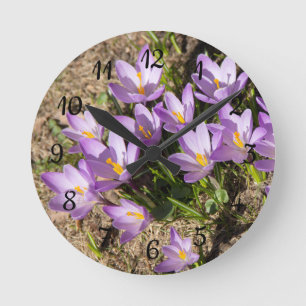 Cute spring crocuses ronde klok