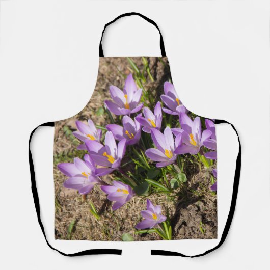 Cute spring crocuses schort (Voorkant)