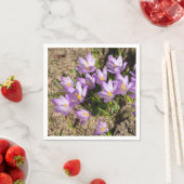 Cute spring crocuses servet (Insitu)