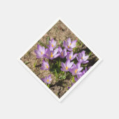 Cute spring crocuses servet (Hoek)
