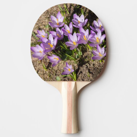 Cute spring crocuses tafeltennisbatje (Voorkant)
