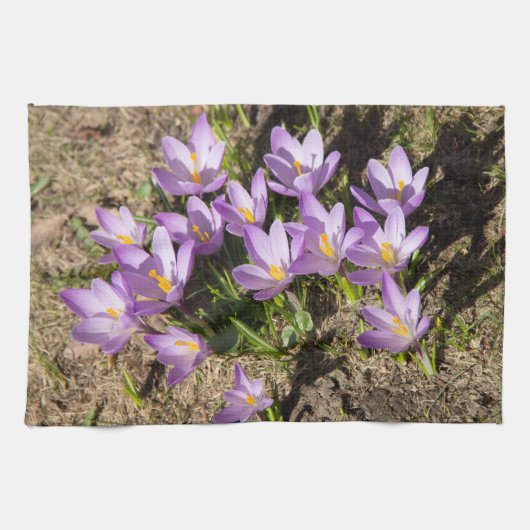 Cute spring crocuses theedoek (Horizontaal)