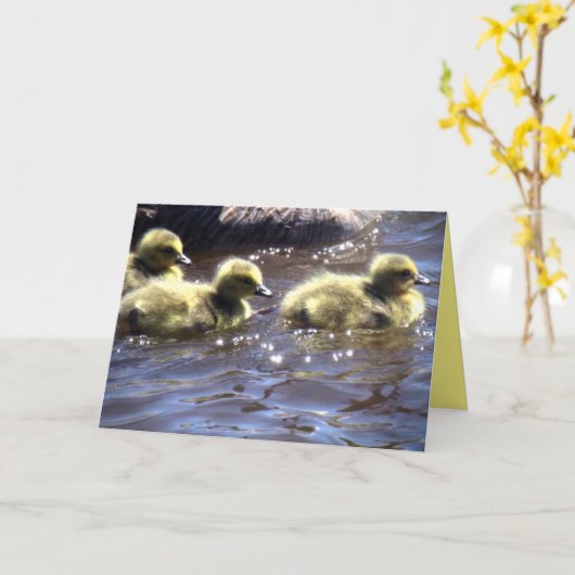 Cute Spring Goslings Baby gans Swimming Kaart (Gele Bloem)