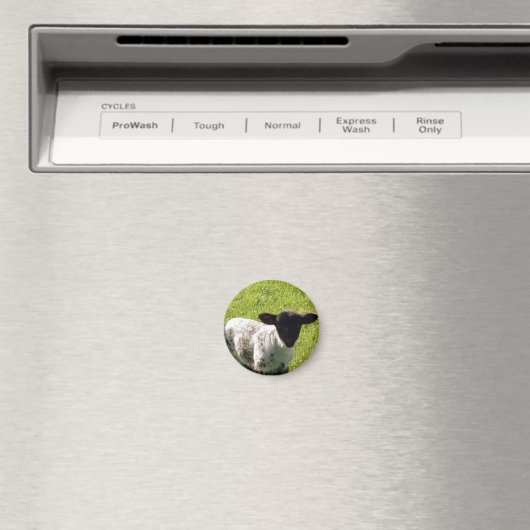 Cute Spring Lamb Magneet (Insitu (Vaatwasser))