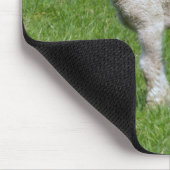 Cute Spring Lamb Muismat (Hoek)