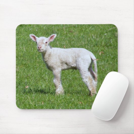 Cute Spring Lamb Muismat (Met muis)