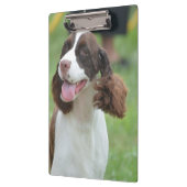 Cute Springer Spaniel Klembord (Links)