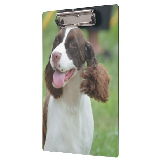 Cute Springer Spaniel Klembord (Links)