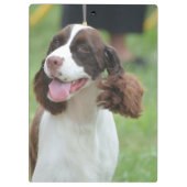 Cute Springer Spaniel Klembord (Achterkant)